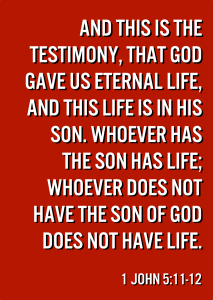 And this is the testimony, that God gave us eternal life, and this is his son. Whoever has the son has life; whoever does not have the son of God does not have life. 1 John 5:11-12